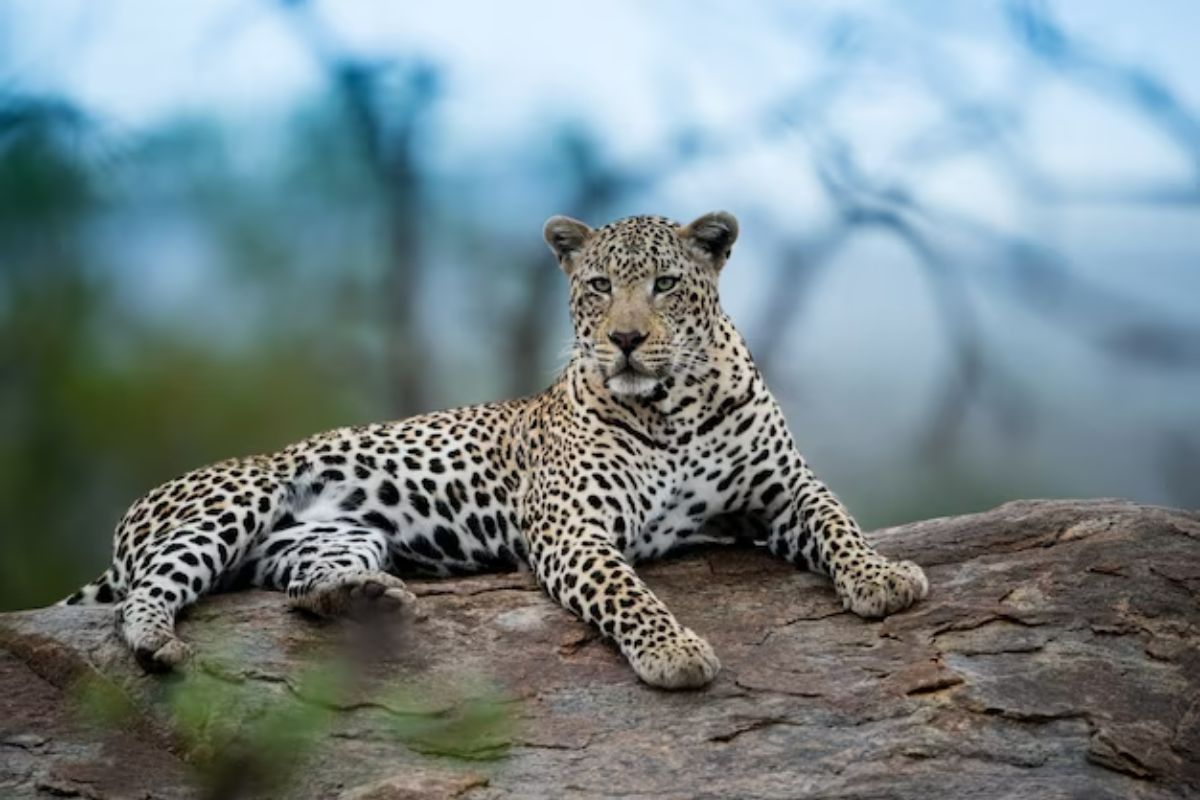 Maravillas del Sur de Africa