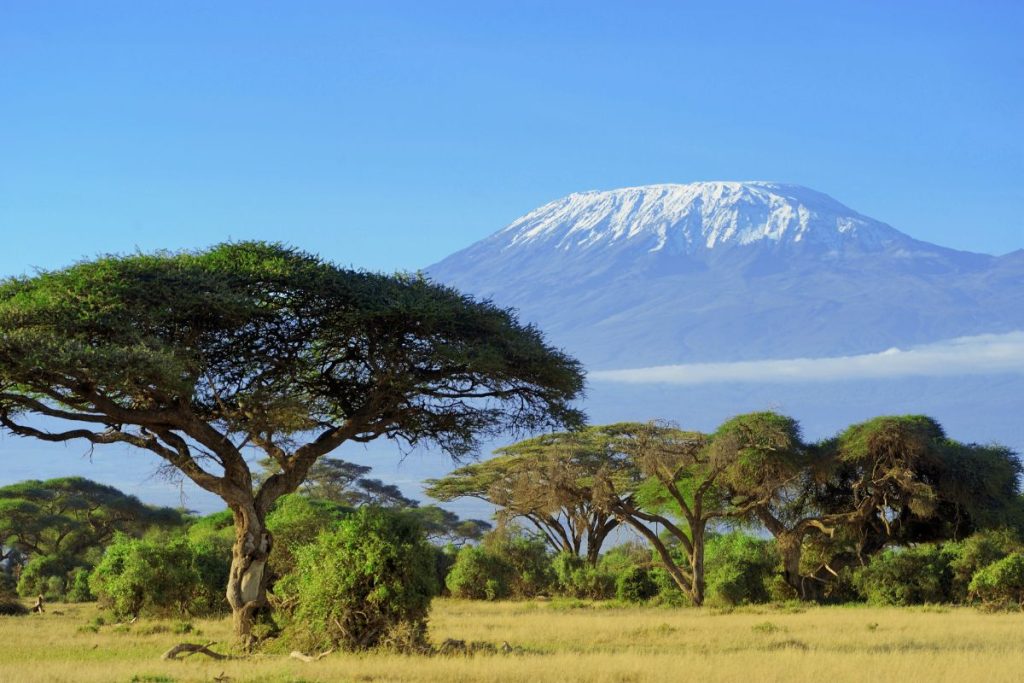 Safari privado Olduvai en Tanzania
