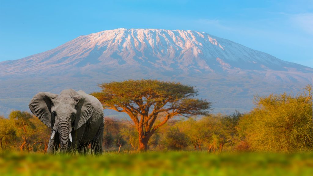Viajes a tanzania