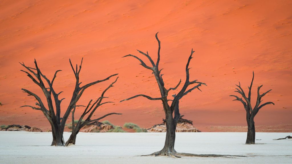 viajes a Namibia