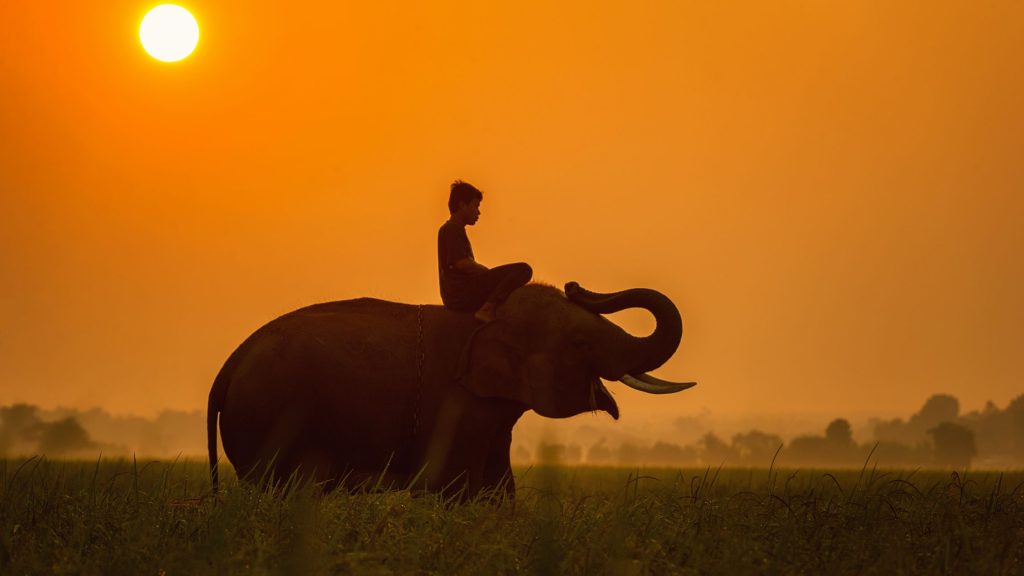 camboya (8)