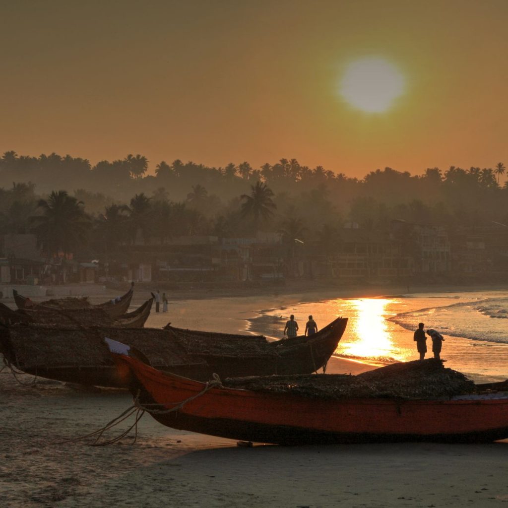 india (8)