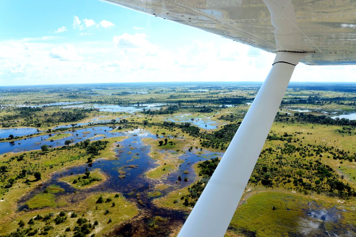 Salares y Okavango