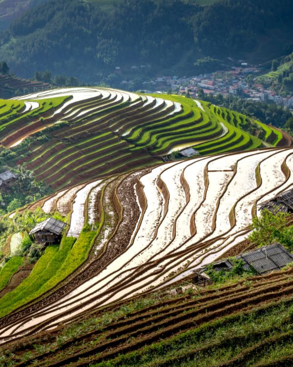 viajes a china