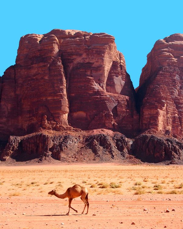 viajes a jordania