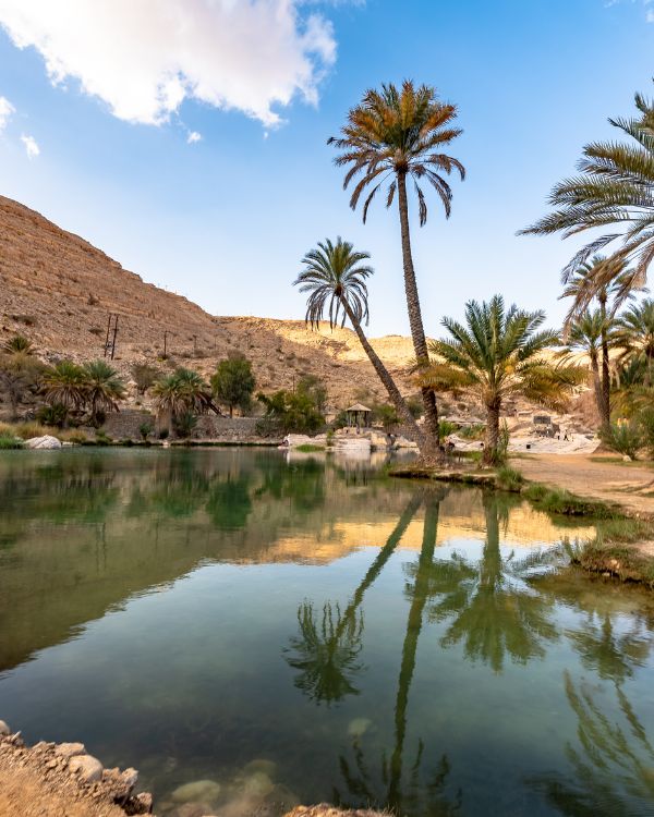 Viajes a Egipto (11)