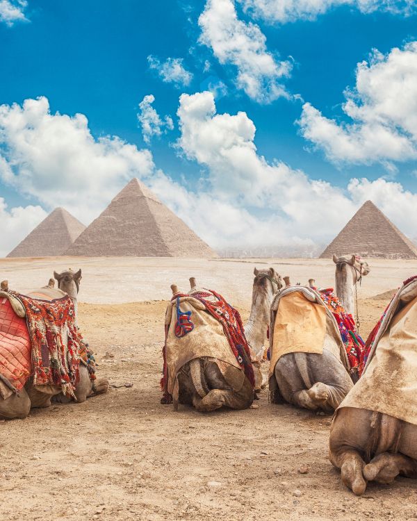 Viajes a Egipto (13)