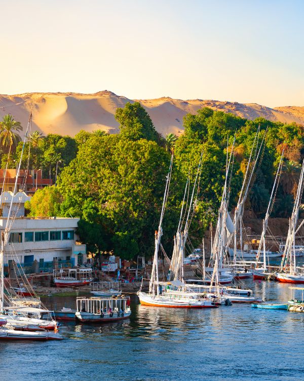Viajes a Egipto (6)