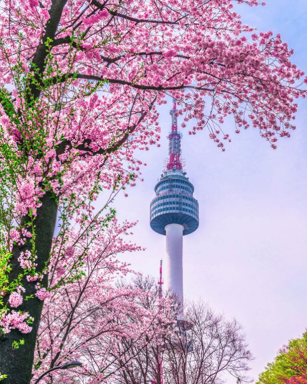 Viajes a corea del sur (1)