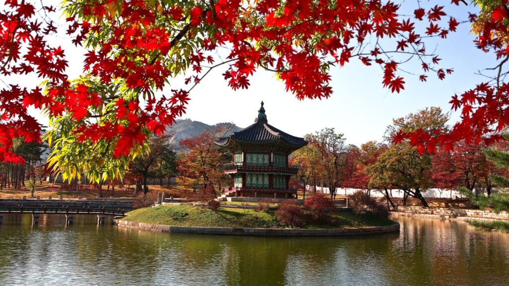 viajes programados a corea del sur (1)