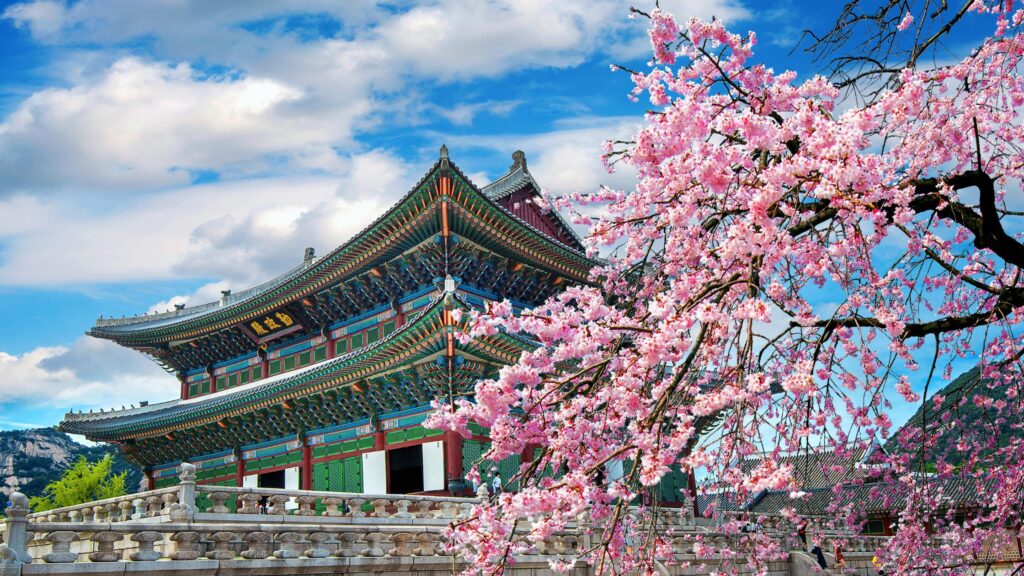 viajes programados a corea del sur