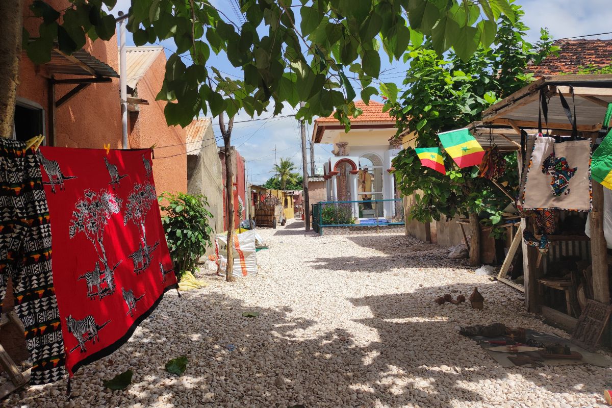 Maravillas de Senegal con Saly