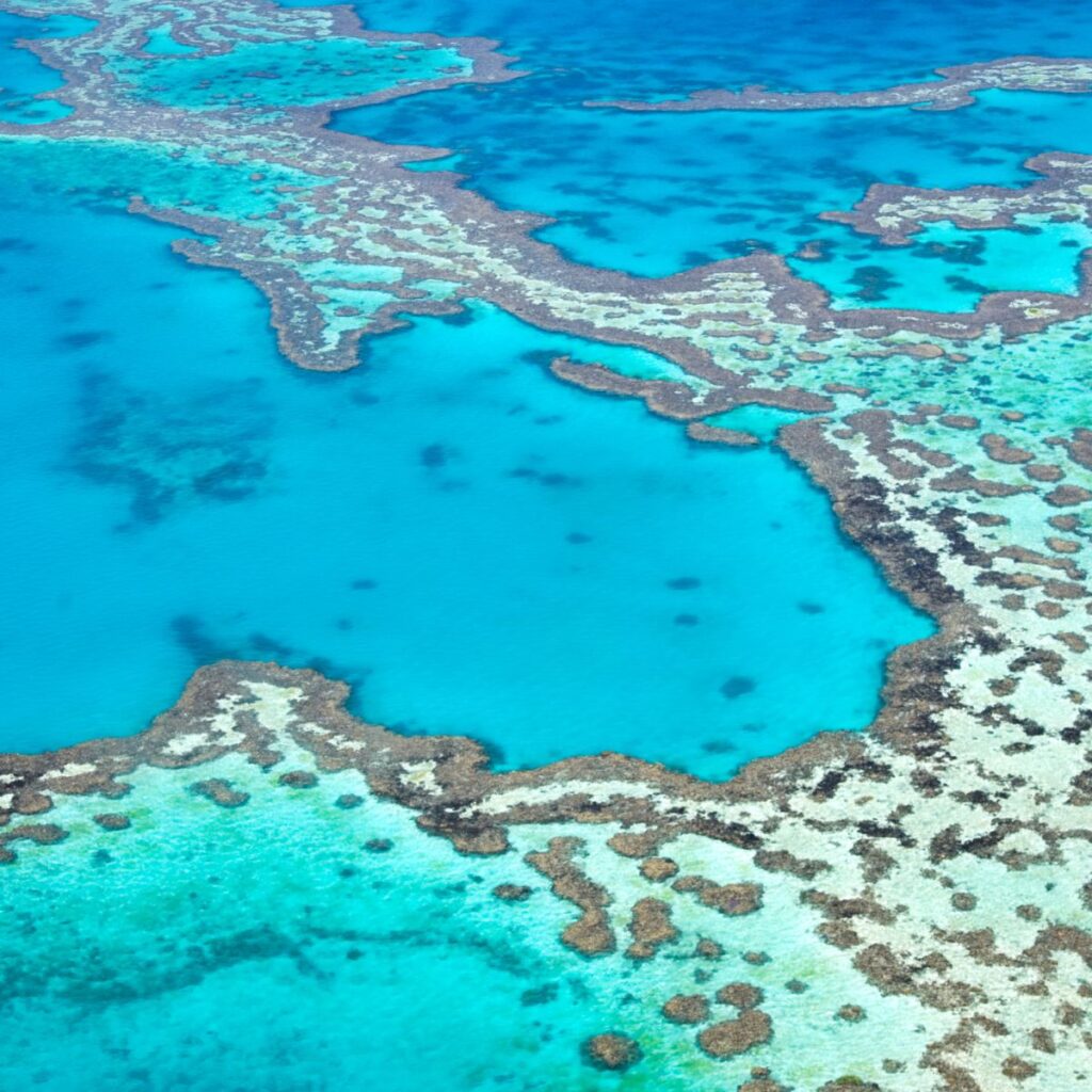 Viajes a australia (3)