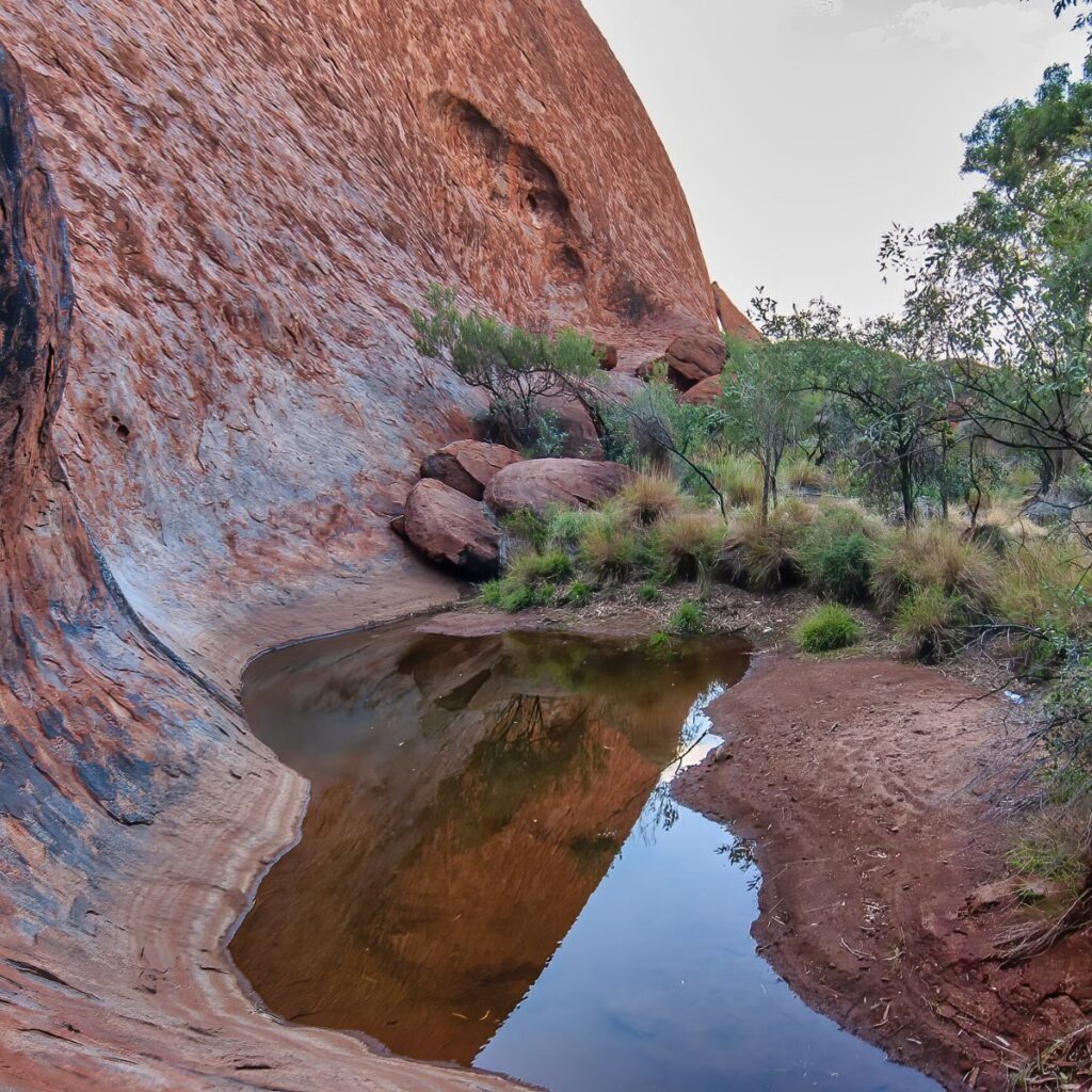 Viajes a australia (5)