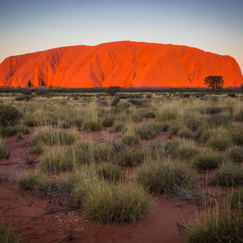 Viajes a australia (6)