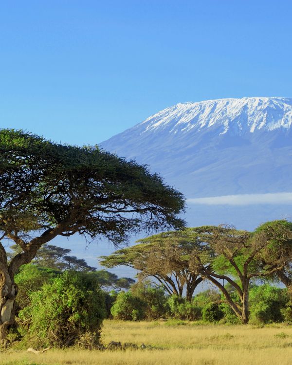 Viajes a Kenia de lujo
