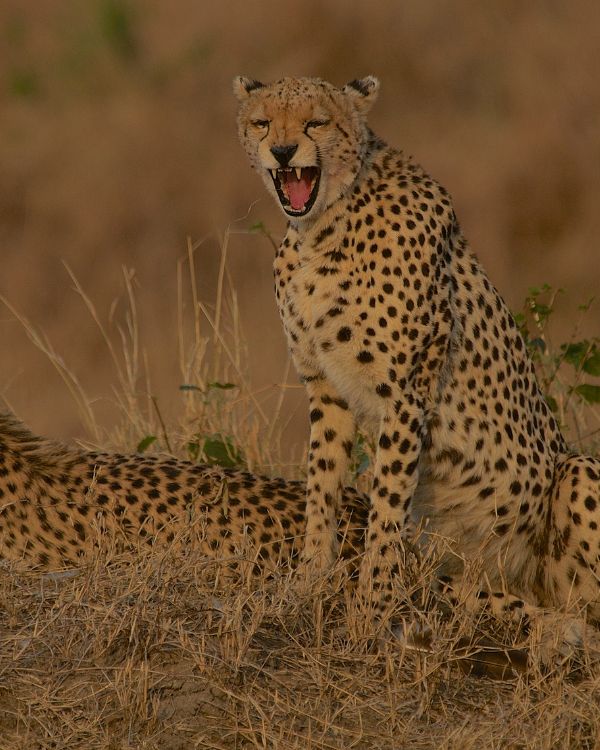Viajes a Kenia de lujo (3)