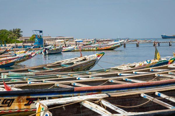 Senegal al Completo
