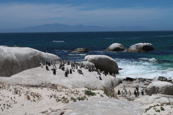 Contrastes de Sudafrica 6