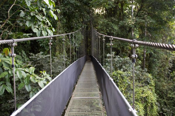 Costa Rica de Aventura con Manuel Antonio