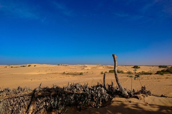 DESIERTO LOMPOUL