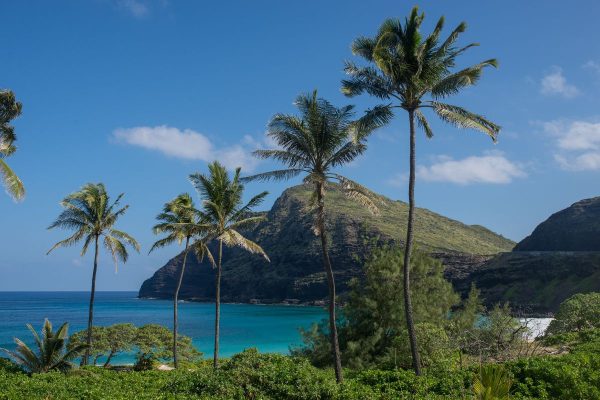 Exuberantes Islas Hawai