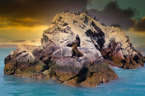 Islas Ballestas