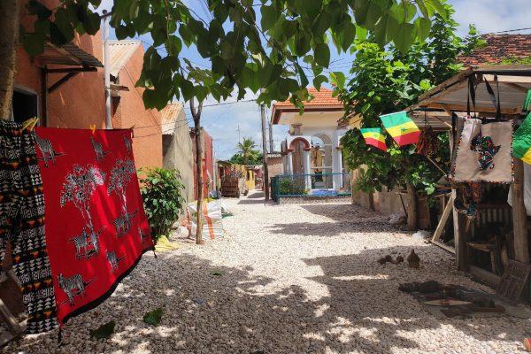 Maravillas de Senegal con Saly