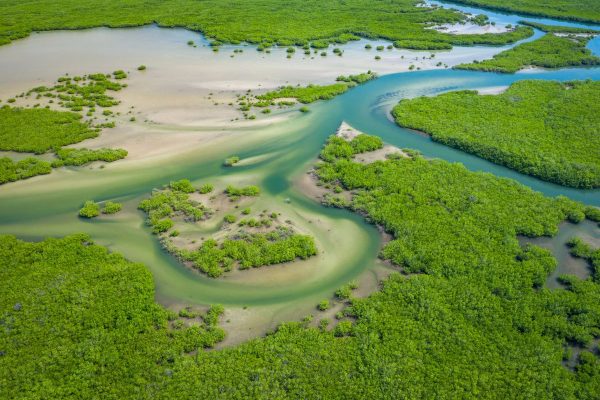 Bellezas de Senegal
