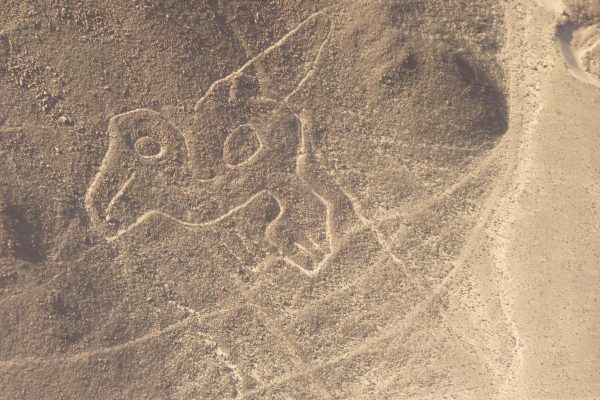 Lineas de nazca