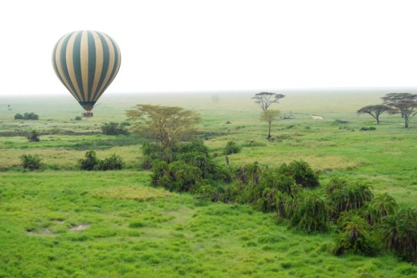 Safari Privado Olduvai En Tanzania