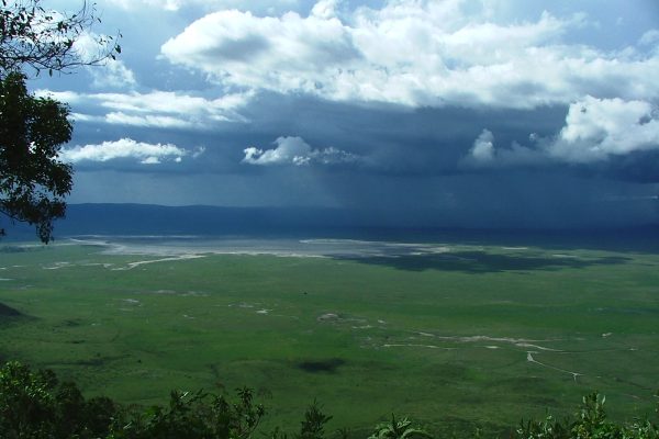 Safari Privado Olduvai En Tanzania
