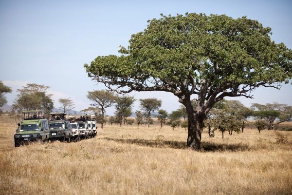 Safari Privado Olduvai En Tanzania