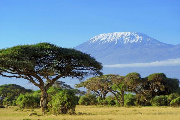 Safari privado Olduvai en Tanzania