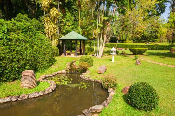 Descubre Sri Lanka