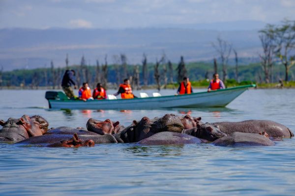 hipos Naivasha